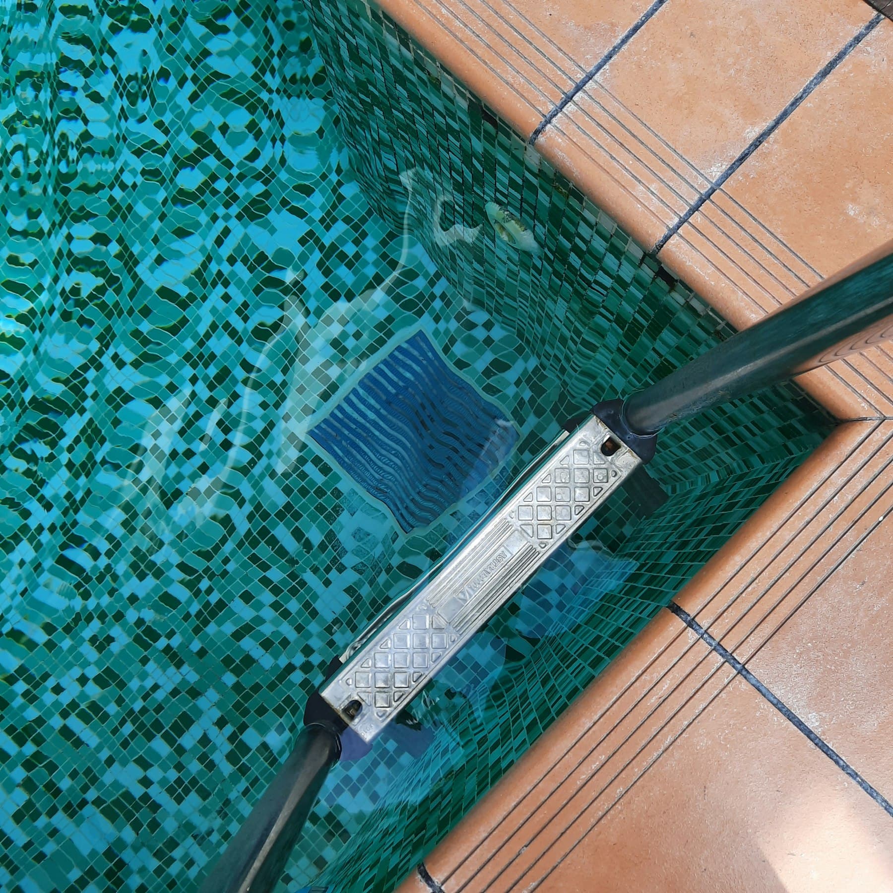 Brushing the tiled edge of a swimming pool